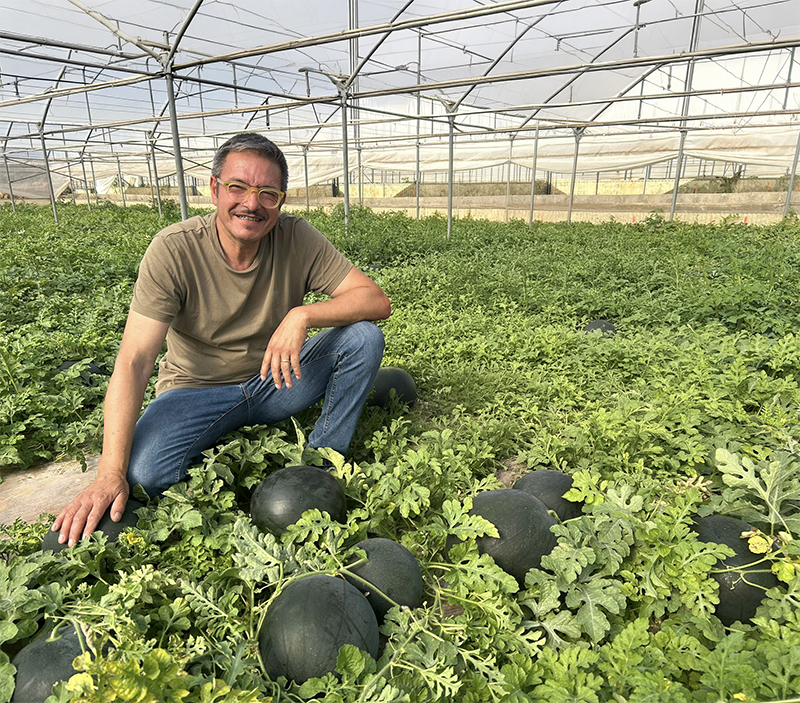 Francesco Furnari, responsabile tecnico commerciale Sicilia di Cora Seeds